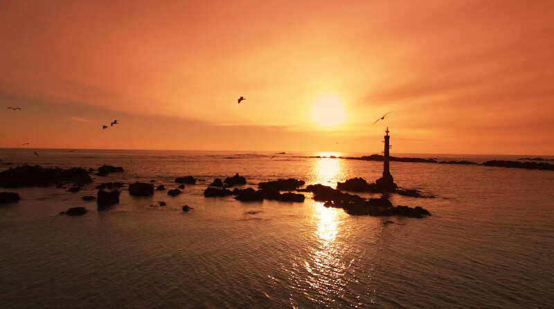 Photo / 塔羅耳語