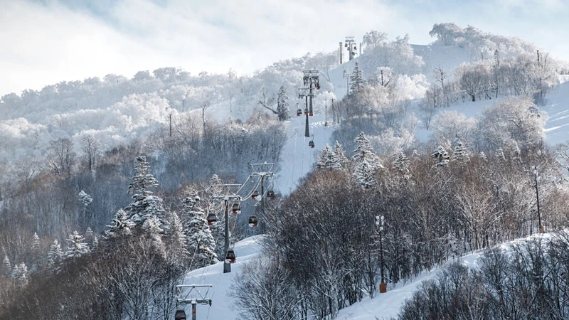 北海道Club Med Kiroro Peak度假村外就是滑雪場