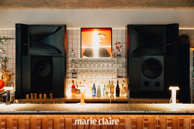 JBL Everest DD55000 是很传统的古典喇叭，中高音很温柔，低音却很浑厚，因此相当适合爵士、House、Ambient music。