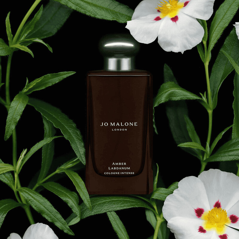 Jo Malone London 琥珀與岩薔薇，50ml NT5,750、100ml NT7,950