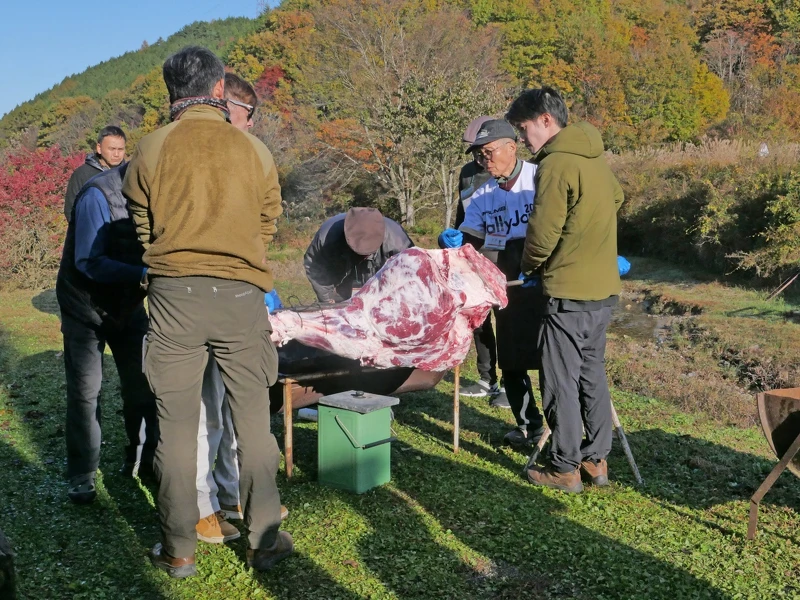 整支烤牛腿是使用當地飼育的「段戶牛」。 整支烤牛腿是使用當地飼育的「段戶牛」。