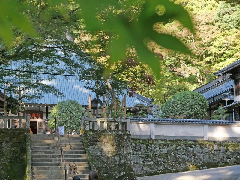 秋天來「香積寺」是最好的季節。