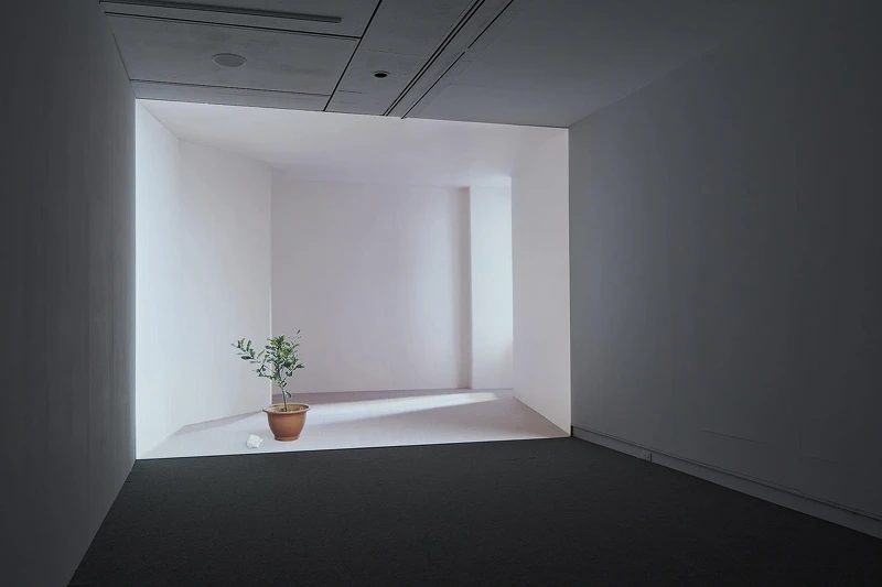 王雅慧,《日光下的靜物》,2005,錄像裝置,4分36秒。臺北市立美術館典藏。 王雅慧,《日光下的靜物》,2005,錄像裝置,4分36秒。臺北市立美術館典藏。