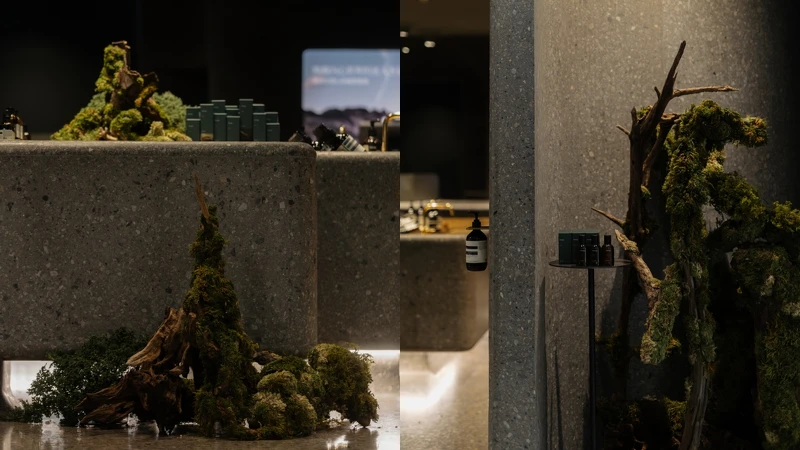 Aesop台中新光的熾香水 Hwyl 植物裝置。