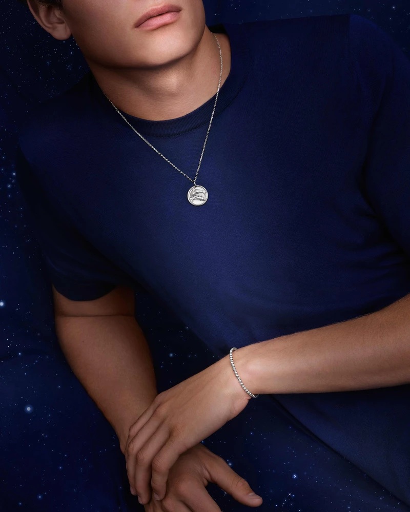 梵克雅寶2026 Zodiaque系列新作