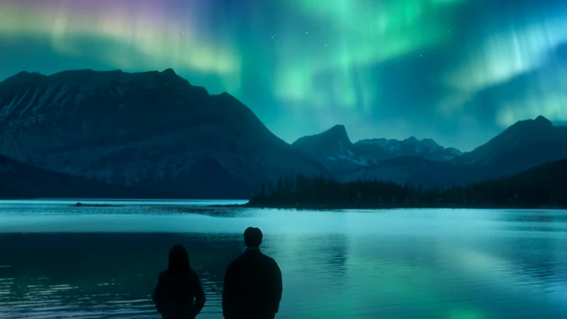 《愛情怎麼翻譯》