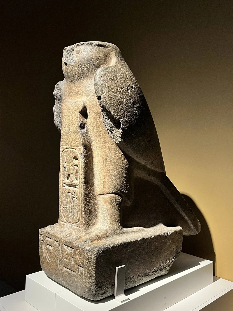 側邊翅膀與尾羽的細節也沒有遺漏。Melody TU 採訪拍攝 側邊翅膀與尾羽的細節也沒有遺漏。Melody TU 採訪拍攝