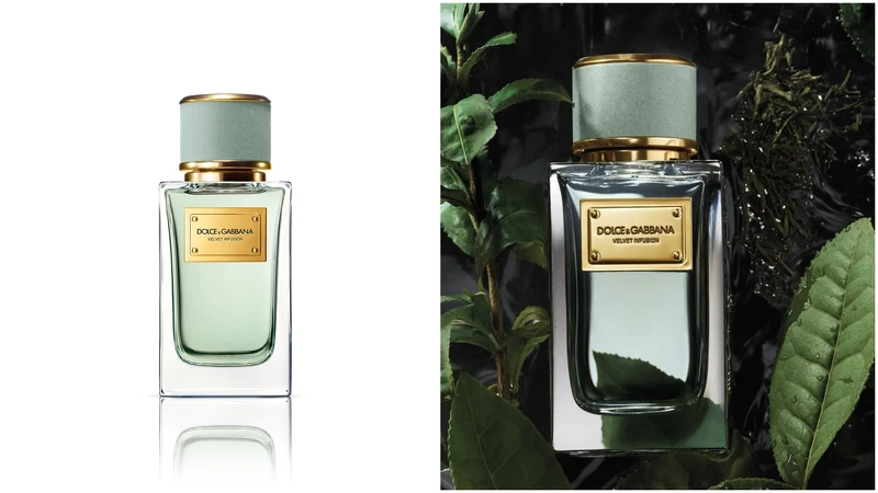 DOLCE&GABBANA天鹅绒-洌茶之韵 DOLCE&GABBANA天鹅绒-洌茶之韵