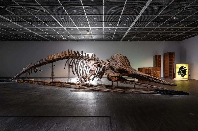 林純用《抹香鯨骨架》、劉秋兒《豆皮與圖抗系》展出現場。