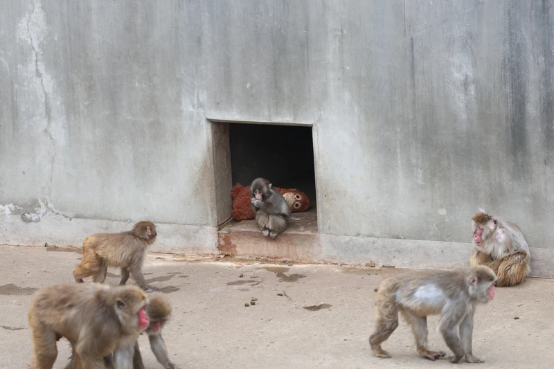 Photo / 市川市役所