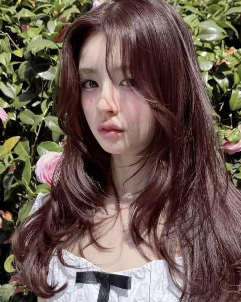 Photo/ 小红书 @句号 Photo/ 小红书 @句号