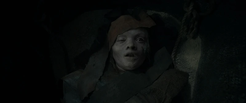 Photo / 華納兄弟