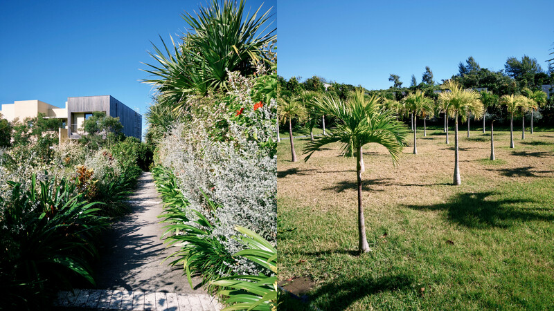 穿越随着季节变换色彩的花园，方能抵达客房