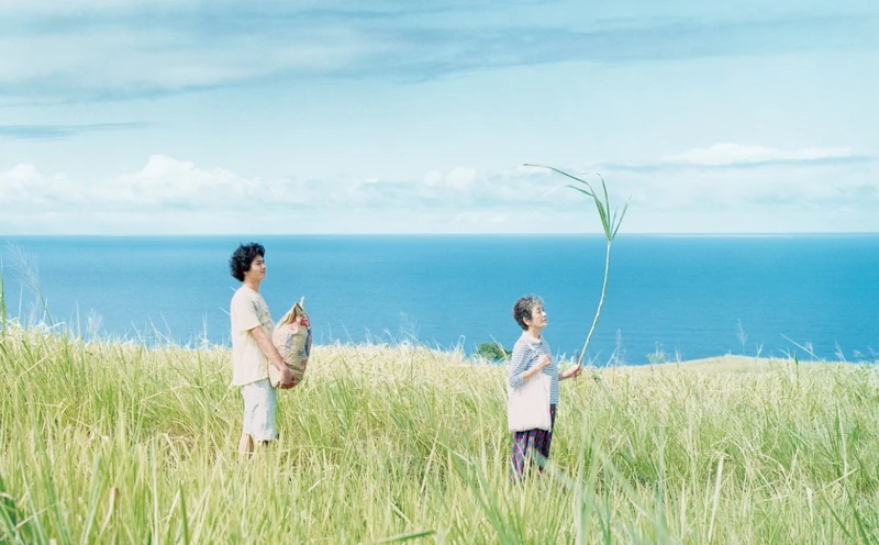 夏威夷是日本電影《夏威夷男孩》的取景地。