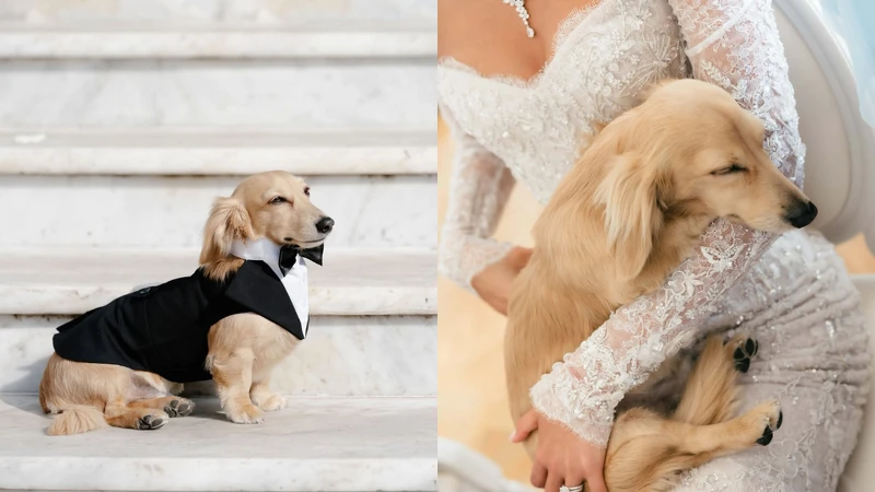 Photo/IG@alexandramalenaleclerc