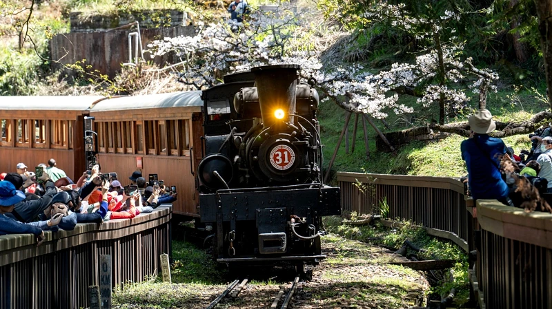 Photo／林铁及文资处蔡文淇拍摄