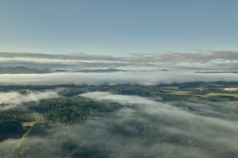 岩手縣位在日本本州東北地方。