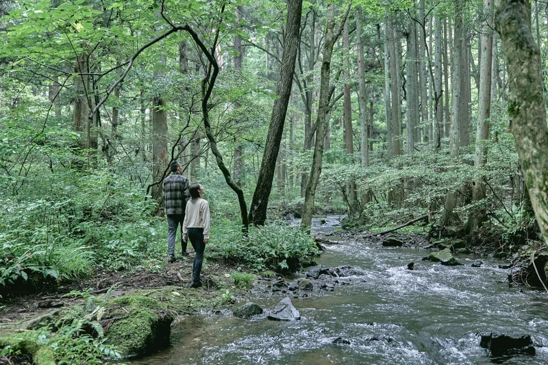 從手作到戶外體驗，每一刻都能感受到岩手的魅力。