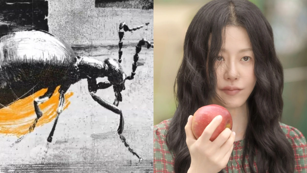 《家母螳螂》看不懂？鄭怡信嘴裡樹葉是什麼、如何毒暈警察？鄭怡信聞自己的手原因