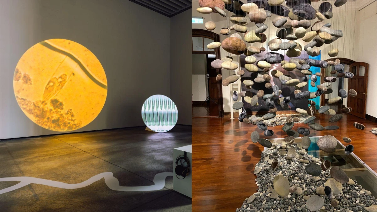 Art Talk｜獨家專訪南美館大展「皮膚與內臟」&館長龔卓軍雙年展規劃