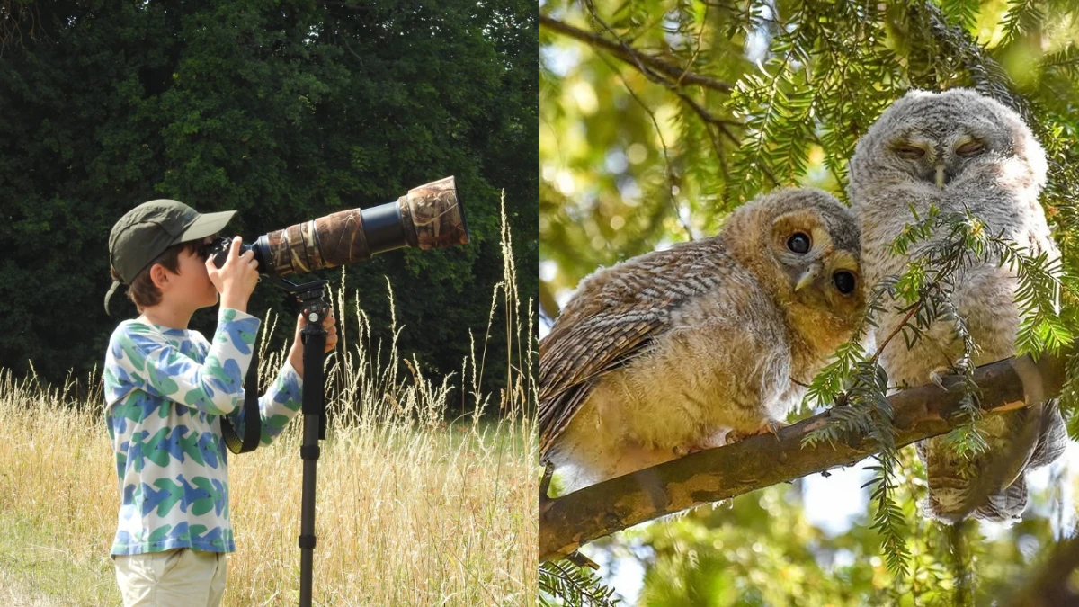 12歲小小攝影師抓住鳥類絕美姿態！薩沙朱曼卡7歲愛上翠鳥、2025獲鳥類攝影師金獎