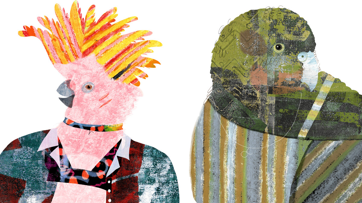 【星星教授安格斯 11/17-11/23 星座運勢】牡羊可能舊情未了，金牛避免翻舊帳