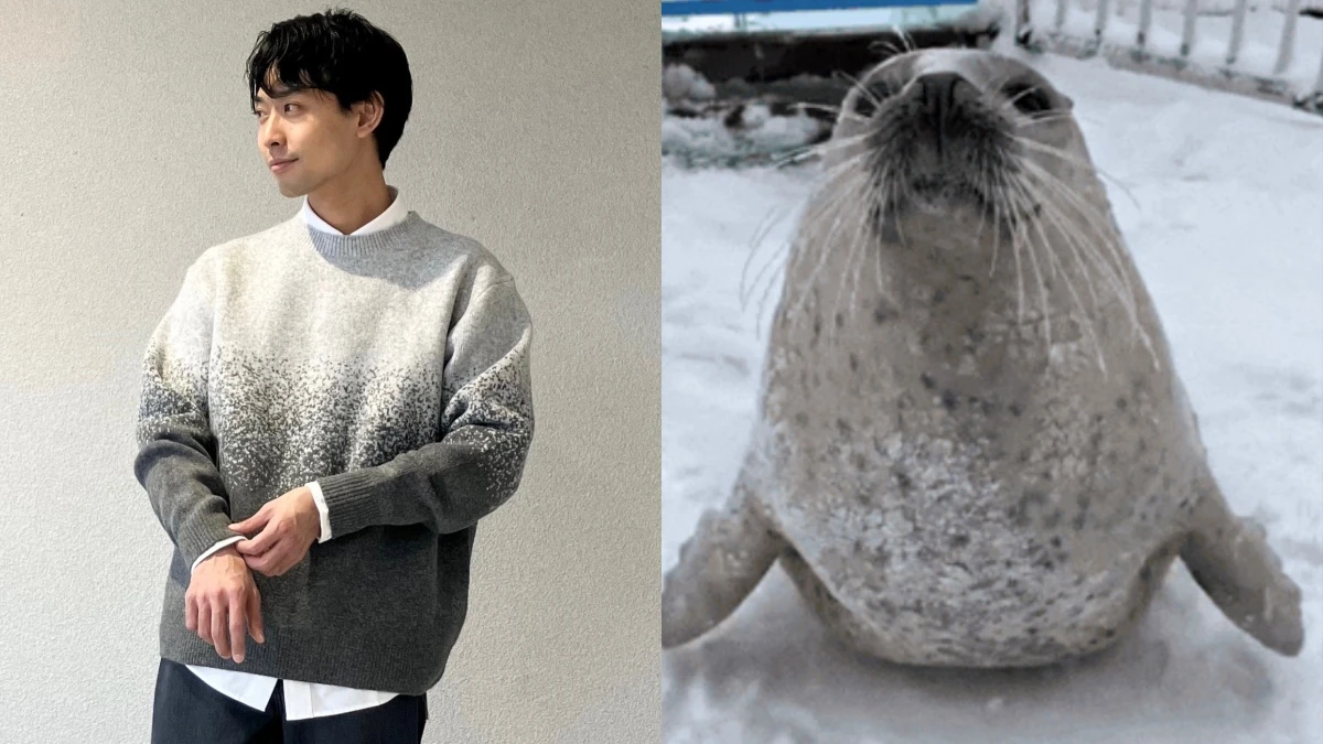【Threads上紅什麼】Uniqlo海豹毛衣狂收17萬讚!編織漸層超親膚,還出自Dior設計師之手
