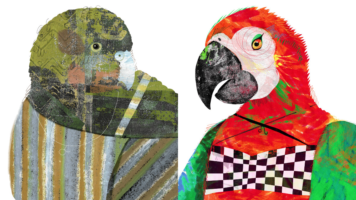 【星星教授安格斯 12/1-12/7 星座運勢】金牛這週人際需要稍設底線，獅子容易懷念舊情