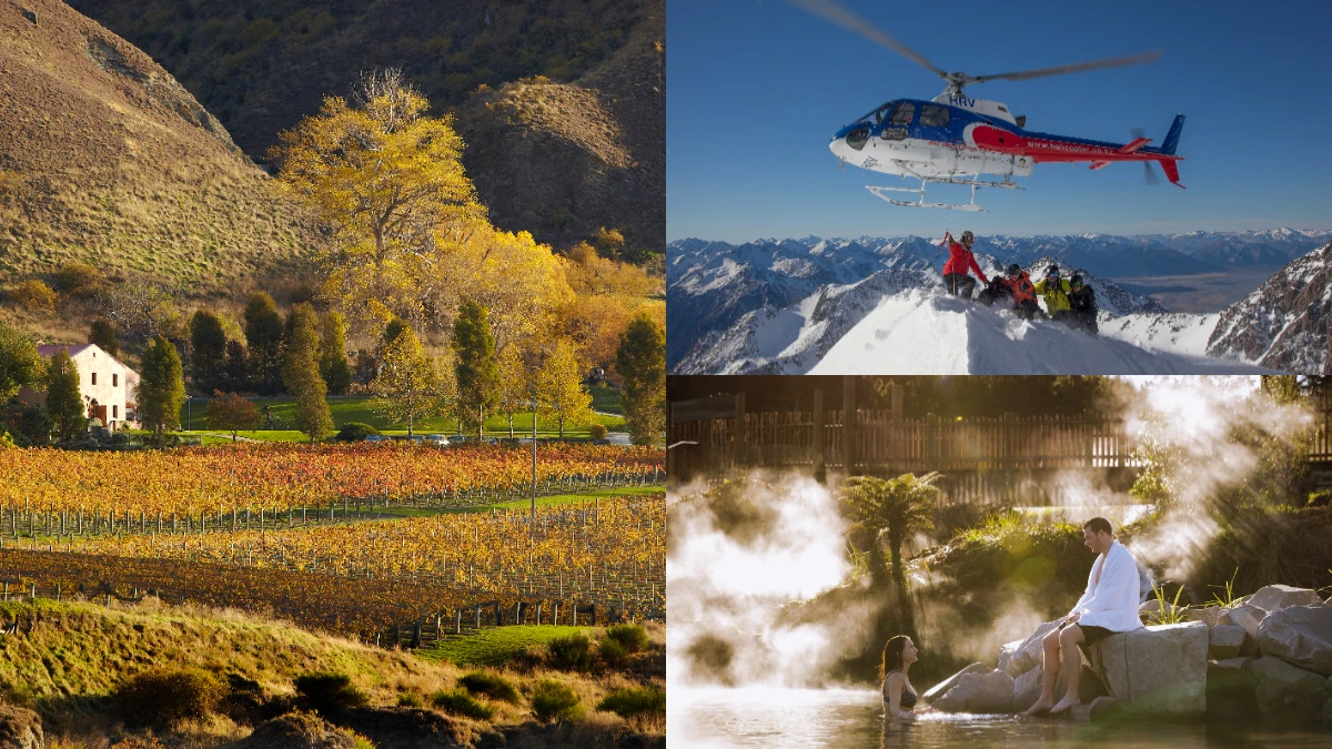 跟著李現暢玩紐西蘭!3條自駕遊推薦路線公開,該準備什麼&怎麼飛懶人包一次整理好