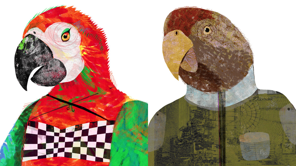 【星星教授安格斯 12/15-12/21 星座運勢】獅子座感情磁場極強,摩羯想離開人群