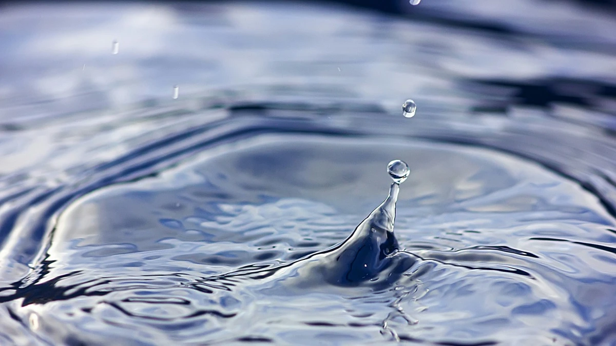 飲學堂｜日本酒趨勢走到哪？低酒精、調配、精釀、熟成等關鍵字，將引領當代與未來