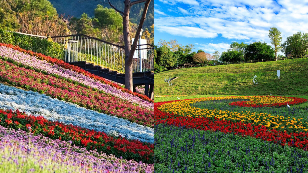 2026台北走春景點推薦｜春節9天連假賞花懶人包：陽明山花季、台版富良野交通攻略一次看