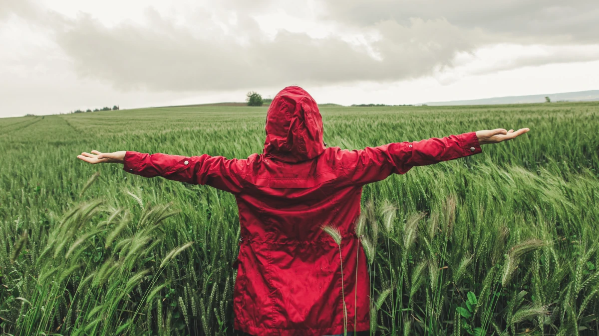 2026「節氣雨水」16天生肖運勢排名!屬兔坐擁財神、屬馬防酒後失控