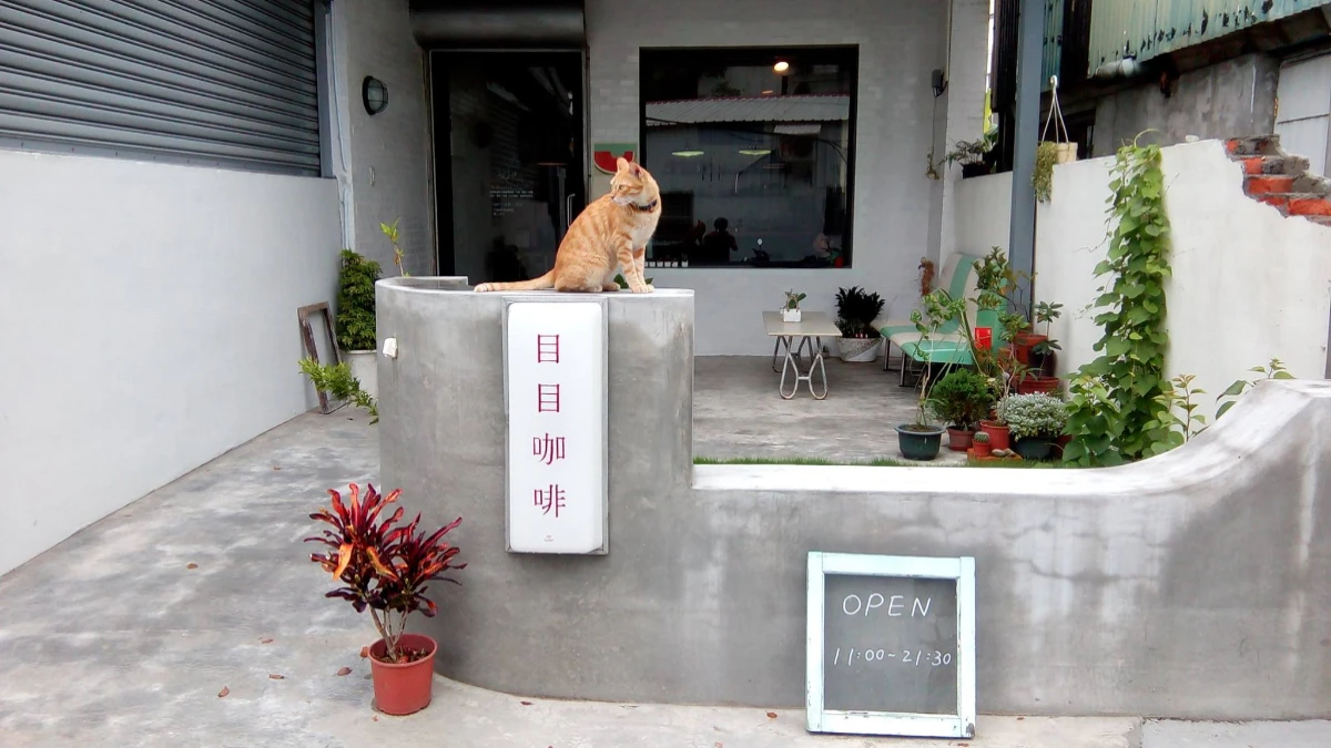 台東下雨景點10選，在地人激推好去處：222 Café擁絕美落羽松步道、江賢二藝術園區待一整天都不無聊