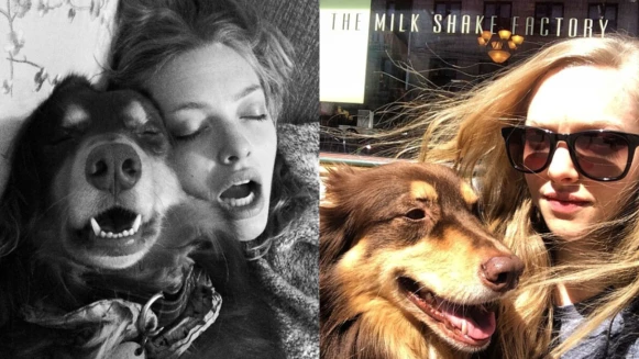 女神Amanda Seyfried臉書大告白！真愛是誰？？