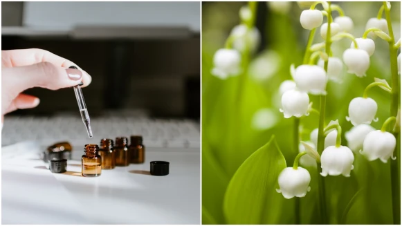 【香氛研究所】沉默的花朵：為什麼鈴蘭、牡丹、茶香香氣無法被真正萃取？