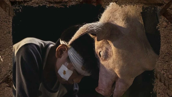 黑盒子《豬人》劇情是什麼?探討靈魂交換,鄭人碩洪君昊動人父子情