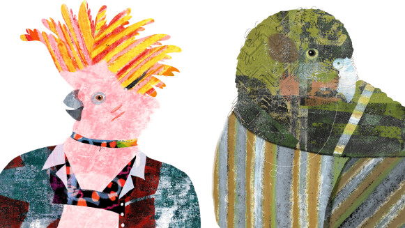 【星星教授安格斯 11/17-11/23 星座運勢】牡羊可能舊情未了，金牛避免翻舊帳