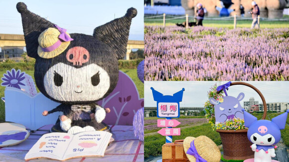 桃園「酷洛米紫色小鎮」限定16天登場！唯美仙草花海、9大主題裝置全攻略