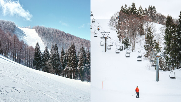 2026日本新潟滑雪場推薦！越後湯澤、妙高8大滑雪聖地，東京搭新幹線可直達