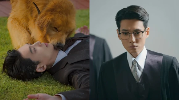 《公益律師》首播評價好看!鄭敬淏+可愛狗狗怎能拒絕?被蘋果箱現金陷害的網紅法官、勢利卻正義的不完美英雄,收視最高破7%