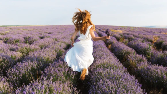 MBTI｜2026年流年運勢「INFP」的始源之年，告別內耗，將內在光芒轉為現實藍圖