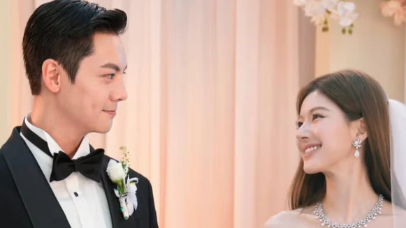 2025年度十大最強陸劇公開：觀看數破20億有6部、《許我耀眼》竟然只排第4？