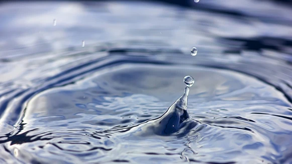 飲學堂｜日本酒趨勢走到哪？低酒精、調配、精釀、熟成等關鍵字，將引領當代與未來