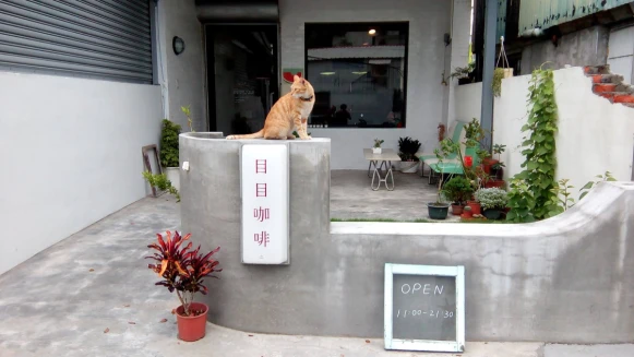 台東下雨景點10選，在地人激推好去處：222 Café擁絕美落羽松步道、江賢二藝術園區待一整天都不無聊