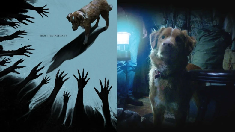 《Good Boy》狗狗恐怖電影未映爆紅!保護中邪主人的乖狗故事,導演愛犬Indy出演:「狗的超能力是能感知主人痛苦」