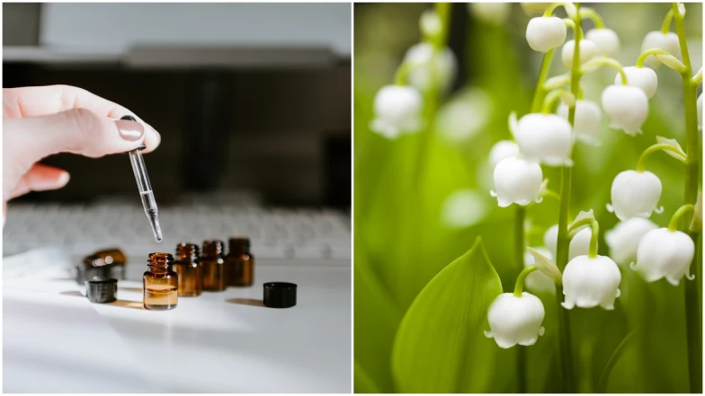 【香氛研究所】沉默的花朵：為什麼鈴蘭、牡丹、茶香香氣無法被真正萃取？