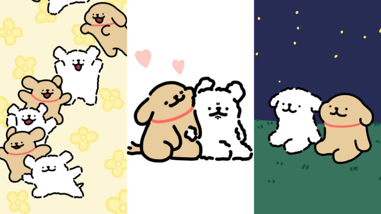 線條小狗紅什麼？從雲朵誕生的馬爾濟斯5件事，與小金毛從好友升格甜蜜情侶