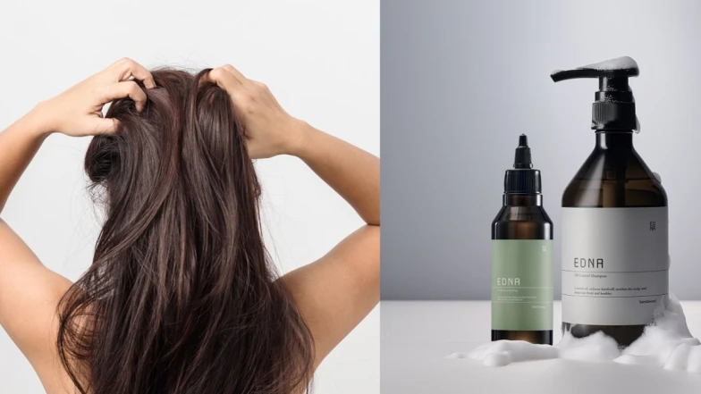 油頭、落髮危機：你不知道的「頭皮」10個冷知識，換季控油從步驟0開始