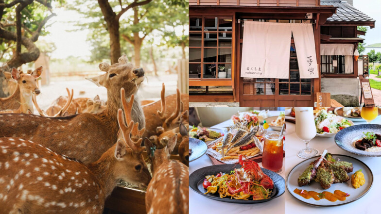 恆春三天兩夜玩樂攻略！6000坪梅花鹿樂園、百年日式咖啡廳，慢遊南國風情